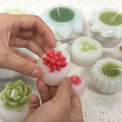 Суккулентные формы для свечей Устойчивые формы MHC Уникальные 3D-свечи Малые суккулентные мини-комплекты для изготовления пирожных Инструменты типа Формы