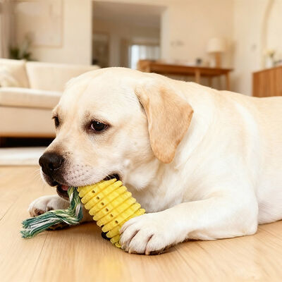 Dog Chew Toys for Aggressive Chewers, Indestructible Tough Durable Squeaky Interactive Dog Toys